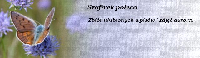 Szafirek_poleca