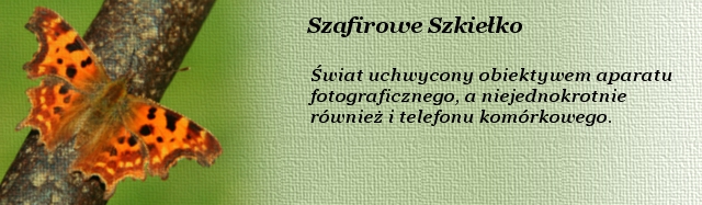 Szafirowe_Szkielko