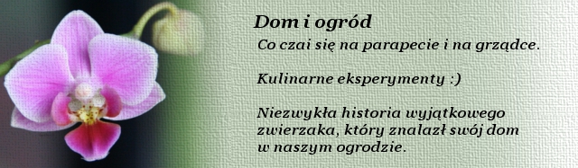 Dom_i_ogrod